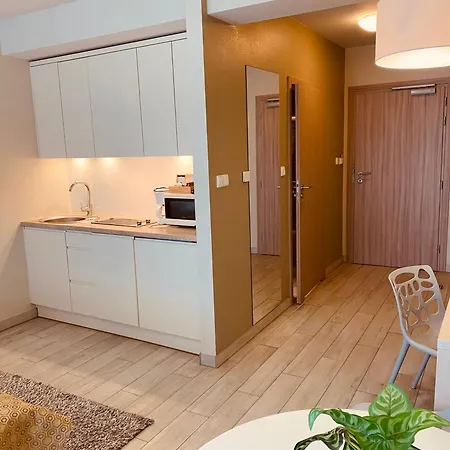 Sleepwell Czarna Gora Apartment *